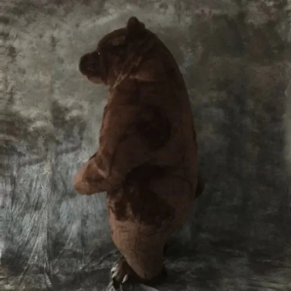 Fato de mascote de urso-pardo  - Costumes avaliação e preço